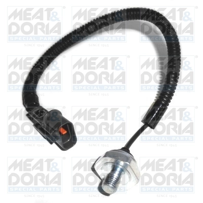 Knock Sensor
